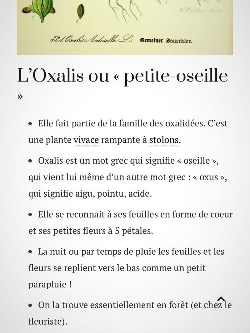Le Village De Lurs 