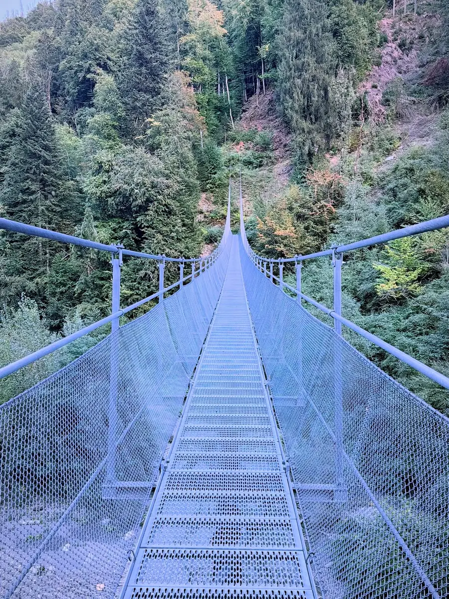 Image La Passerelles Au Moulin Ravier