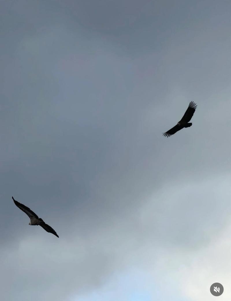 Le Plein Voir (L’arche naturelle)