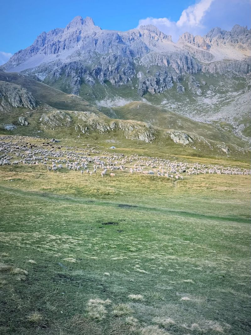 Le Sommet De la Pointe Des Cerces 