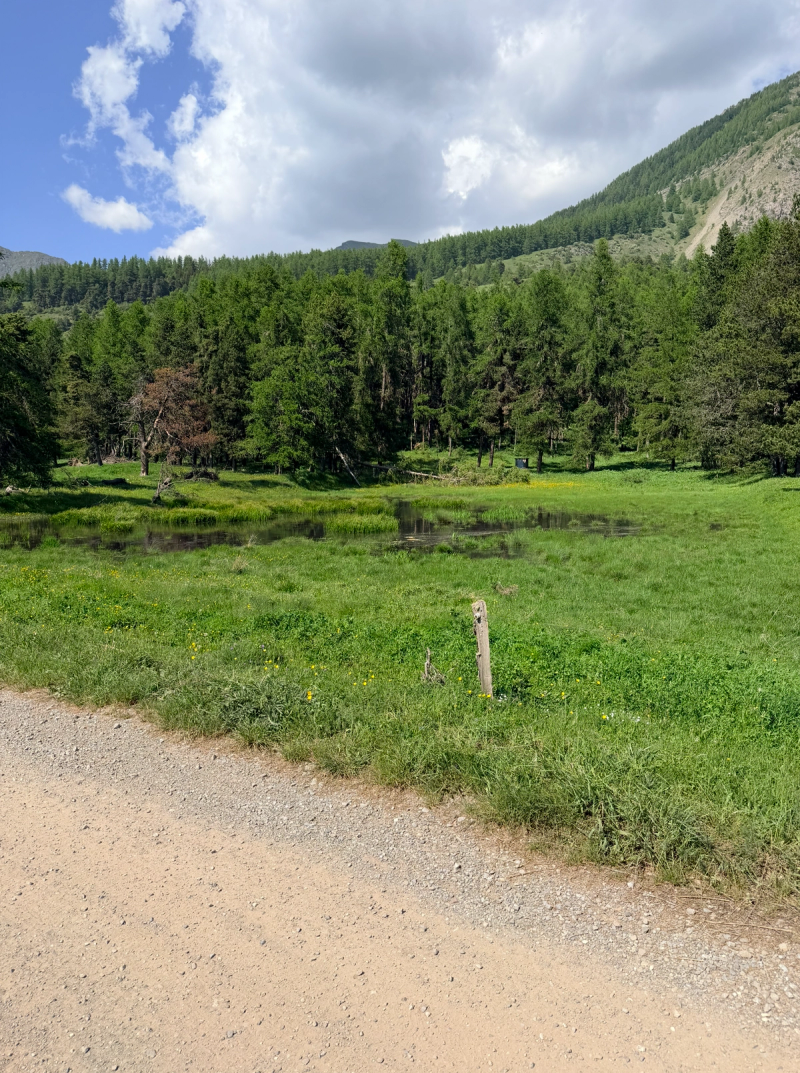 Le Lac De Barbeyroux