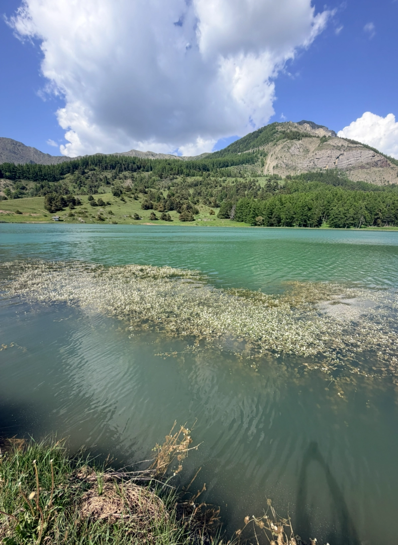 Le Lac De Barbeyroux