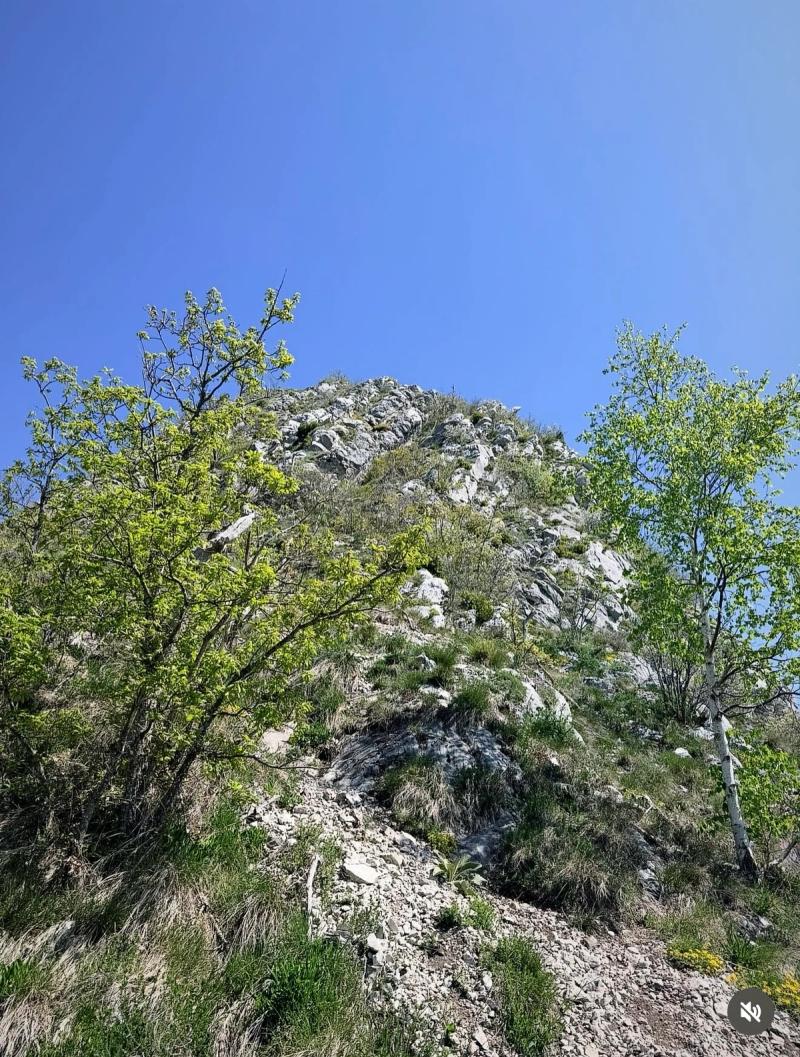 Le Sommet Le Néron 