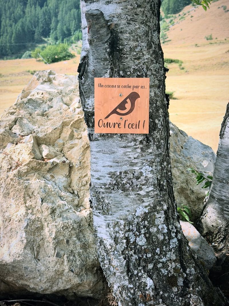 Le Sentier Du Peuple Des Oiseaux 