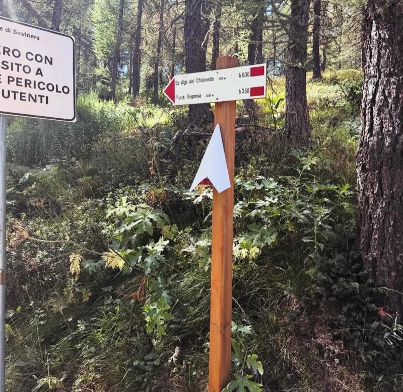 Le Sommet Punta Rognosa 
