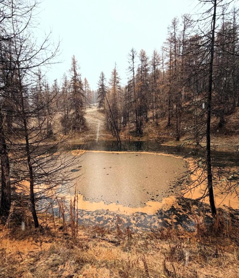Le Lac De Roue 