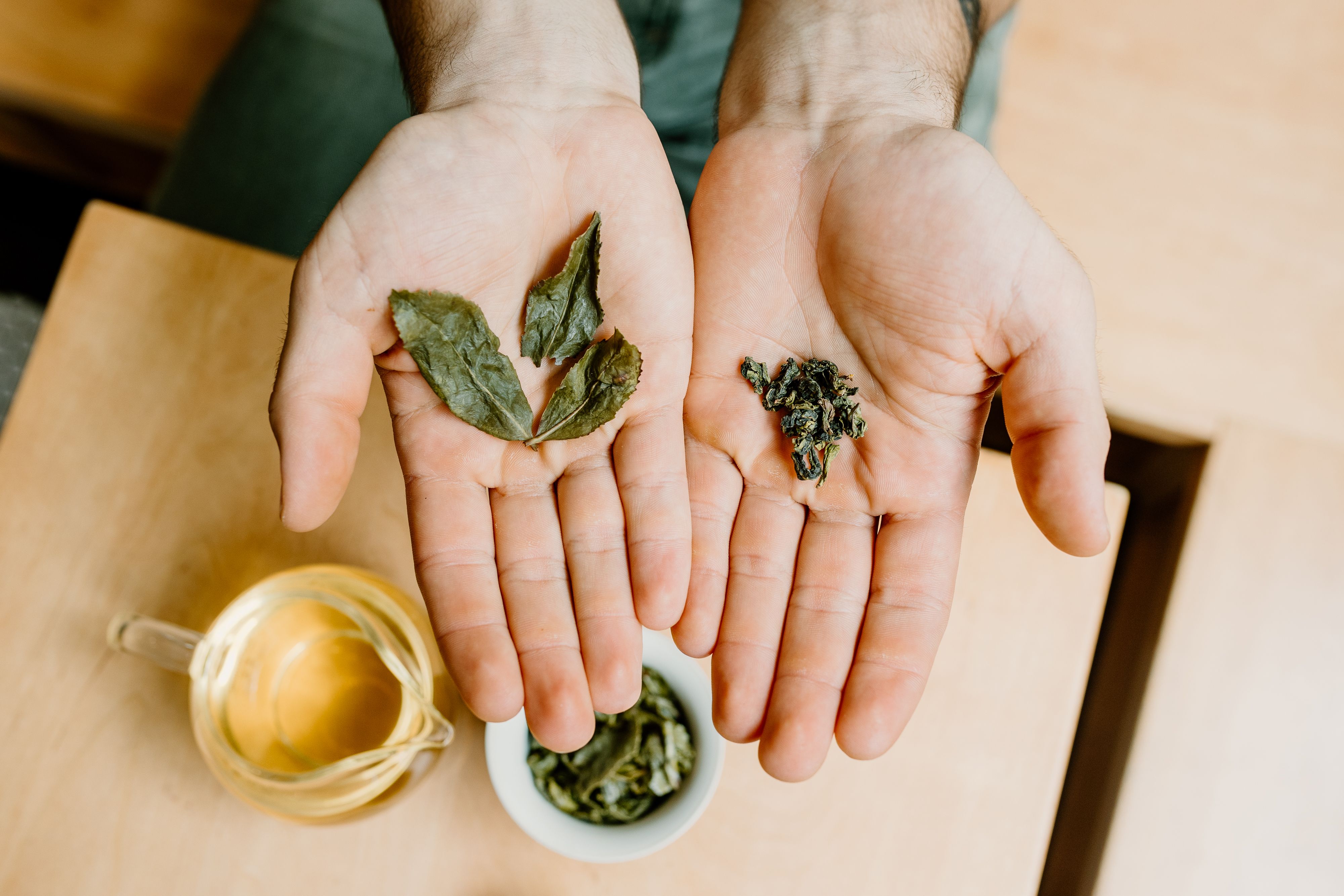 Hands holding Passenger's Tieguanyin tea showing what they look like after steeping