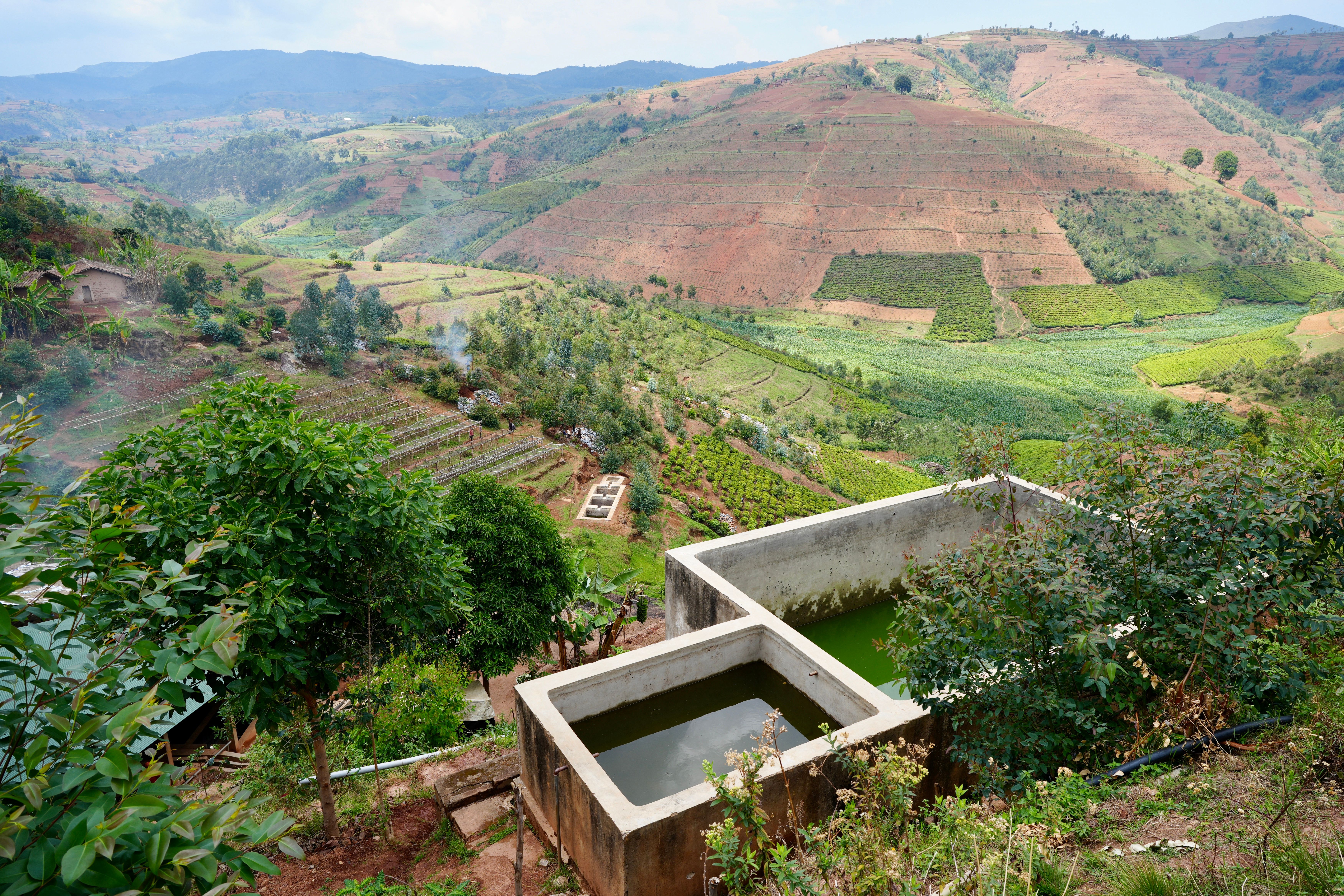 The beautiful hills of Burundi