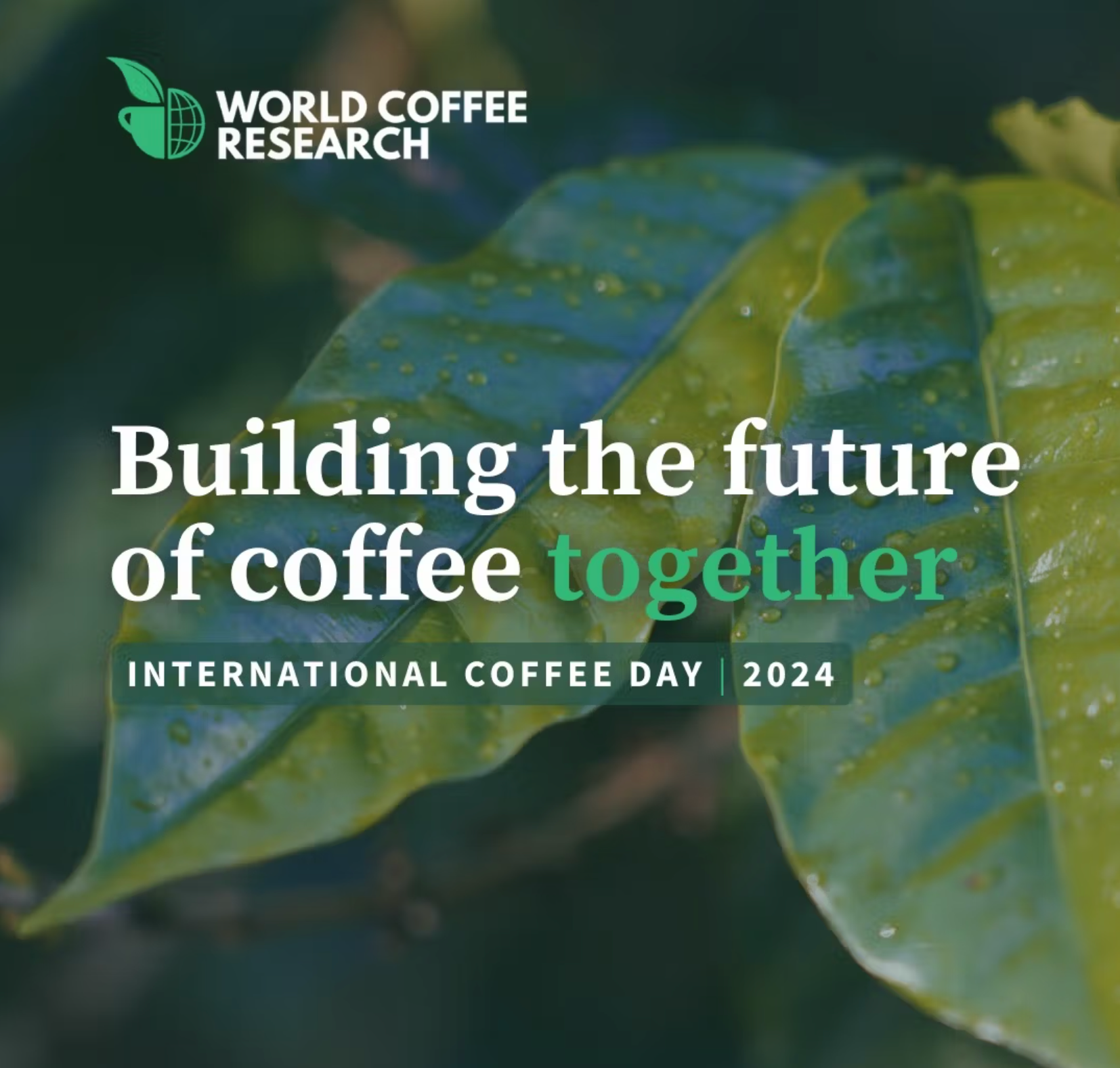 A graphic for International Coffee Day 2024