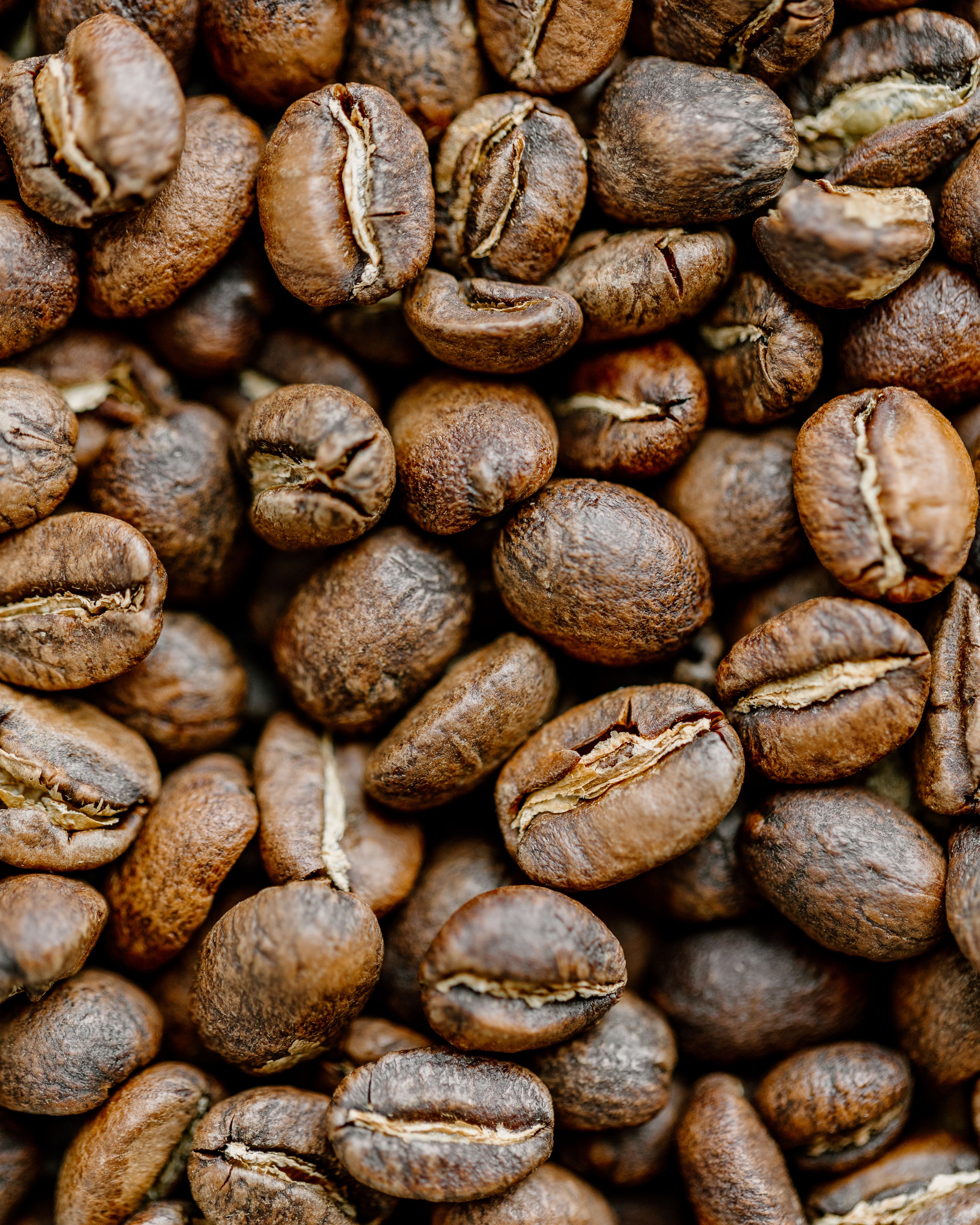 Roasted coffee beans