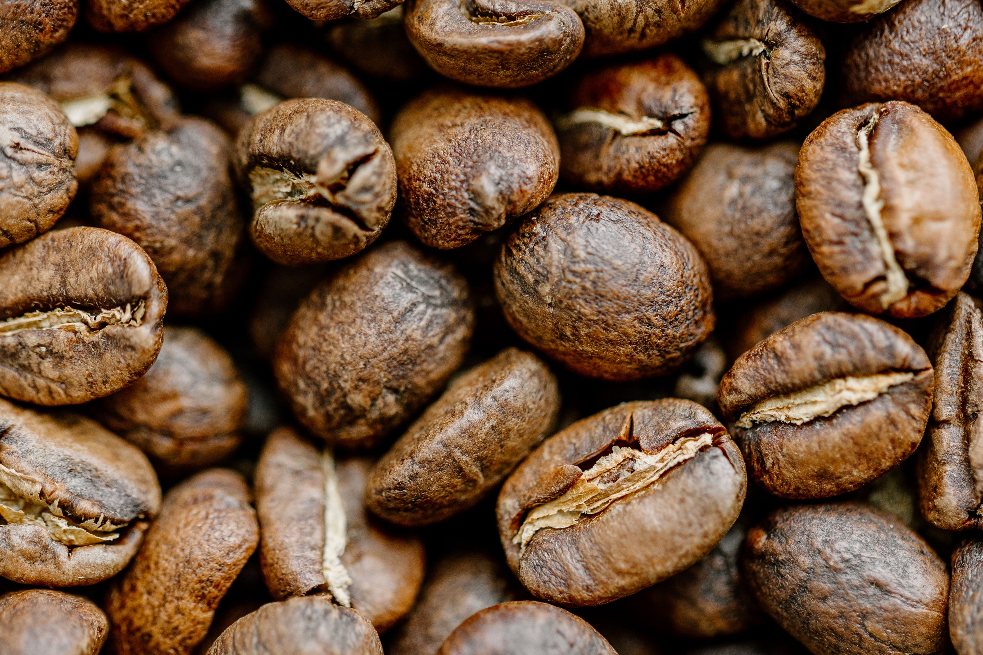 Roasted coffee beans