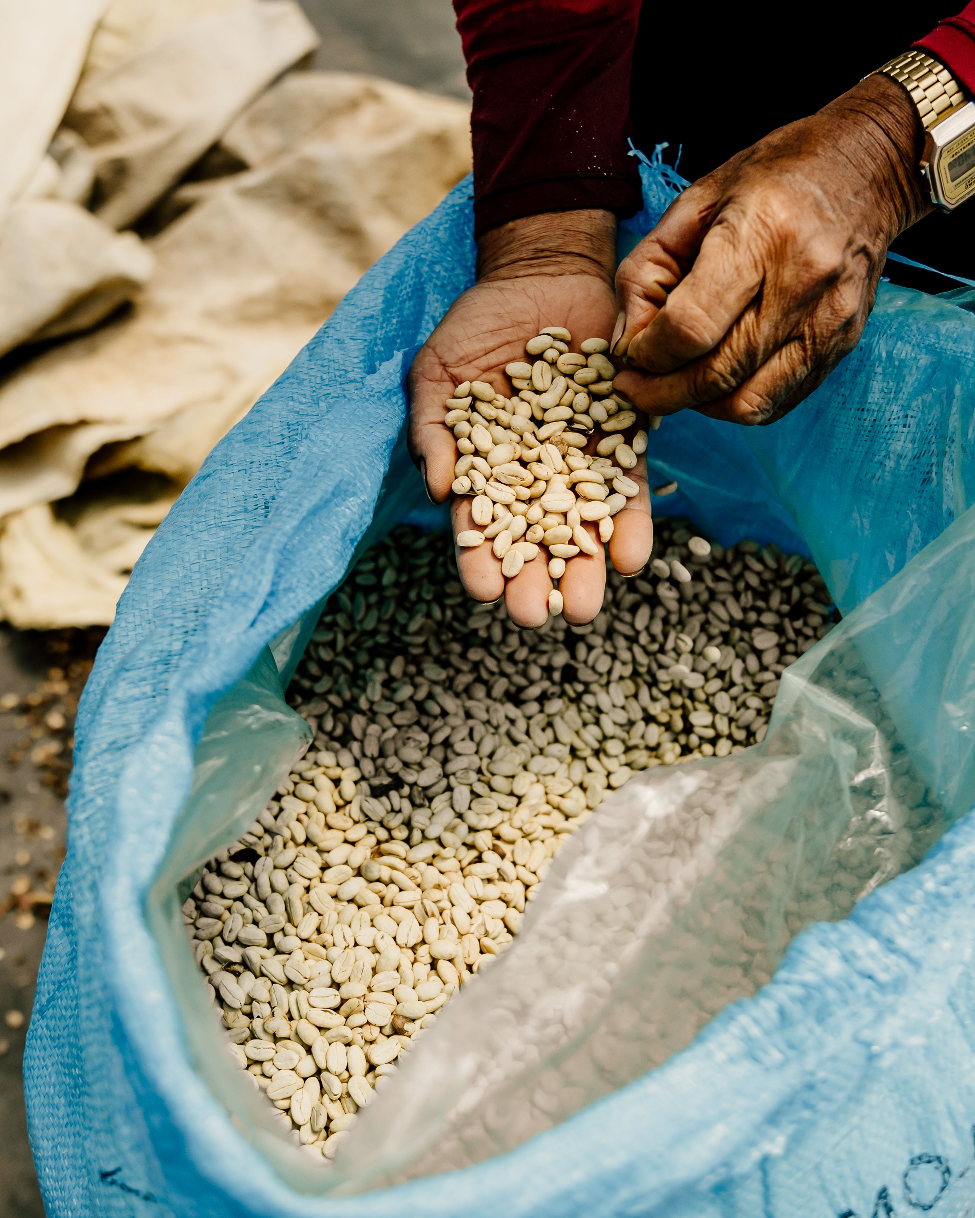 A bag of dried coffee beans