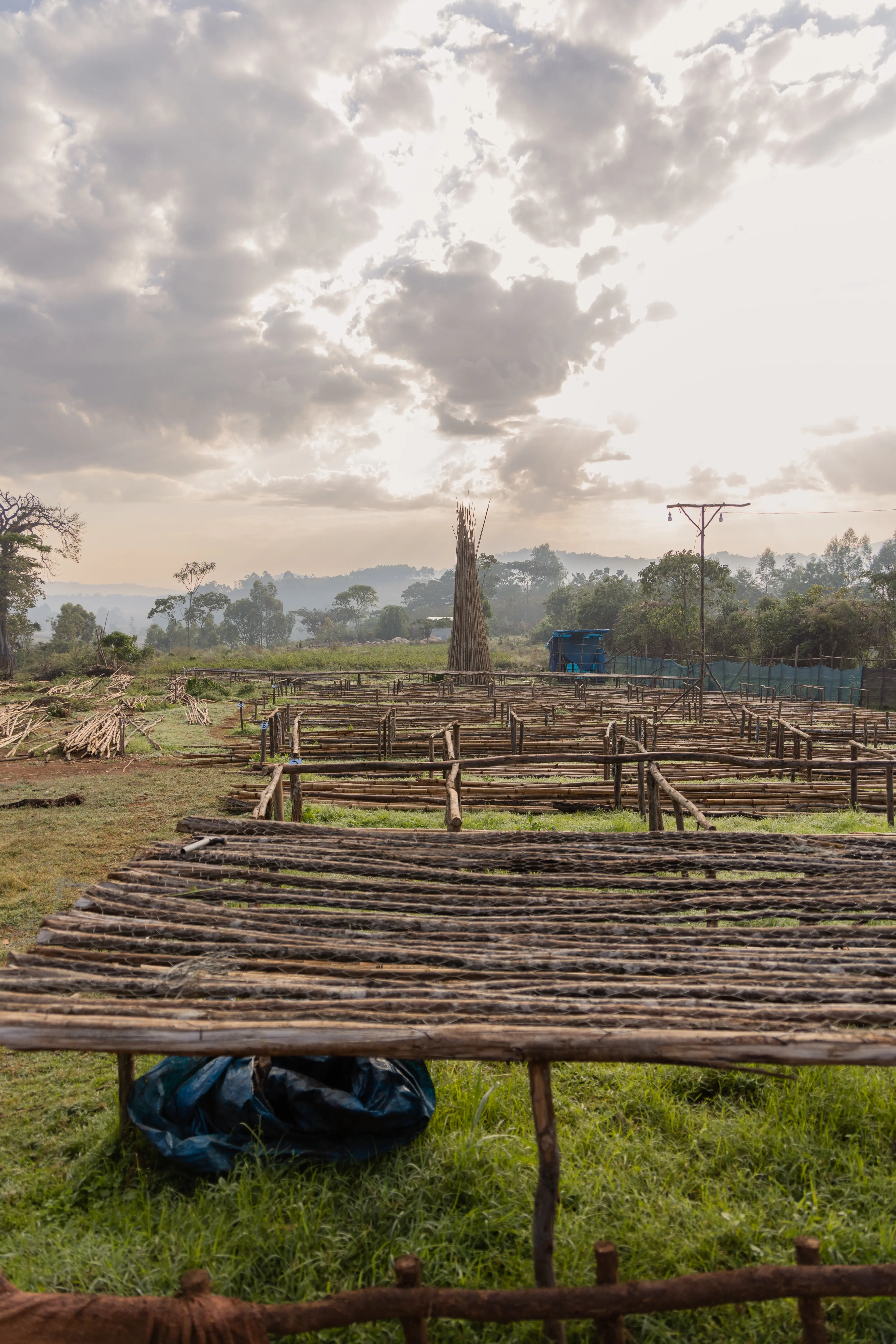 Coffee Washing stations in Ethiopia