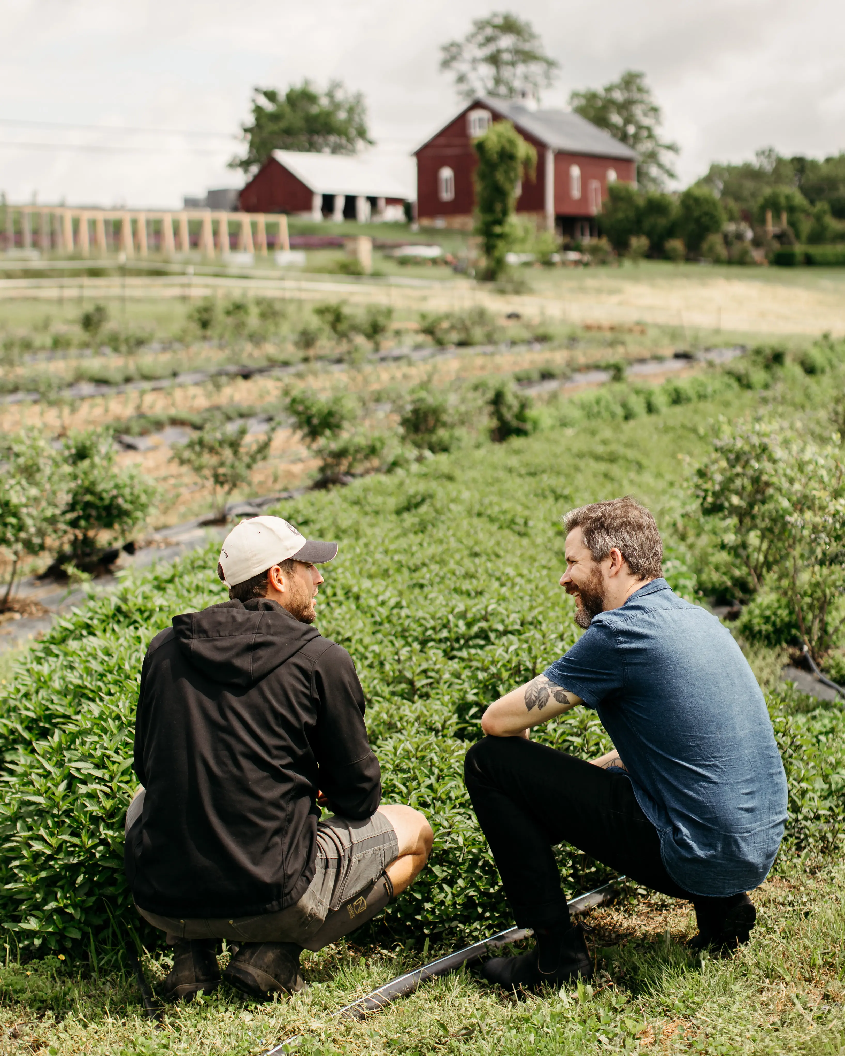 Evan from the Passenger team talks with Peter from Star Bright Farm