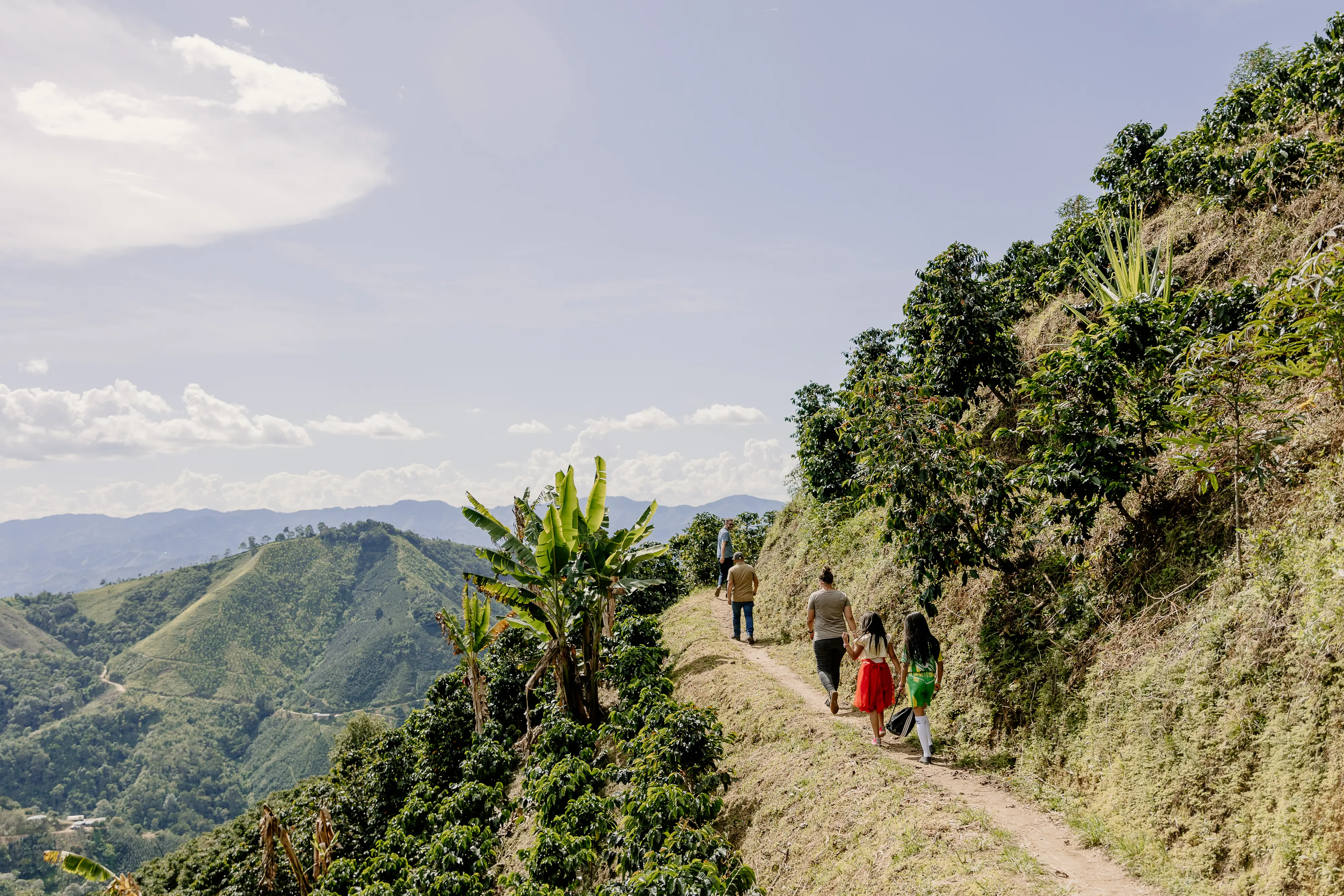 People walking along a ridge at a coffee farm in Columbia