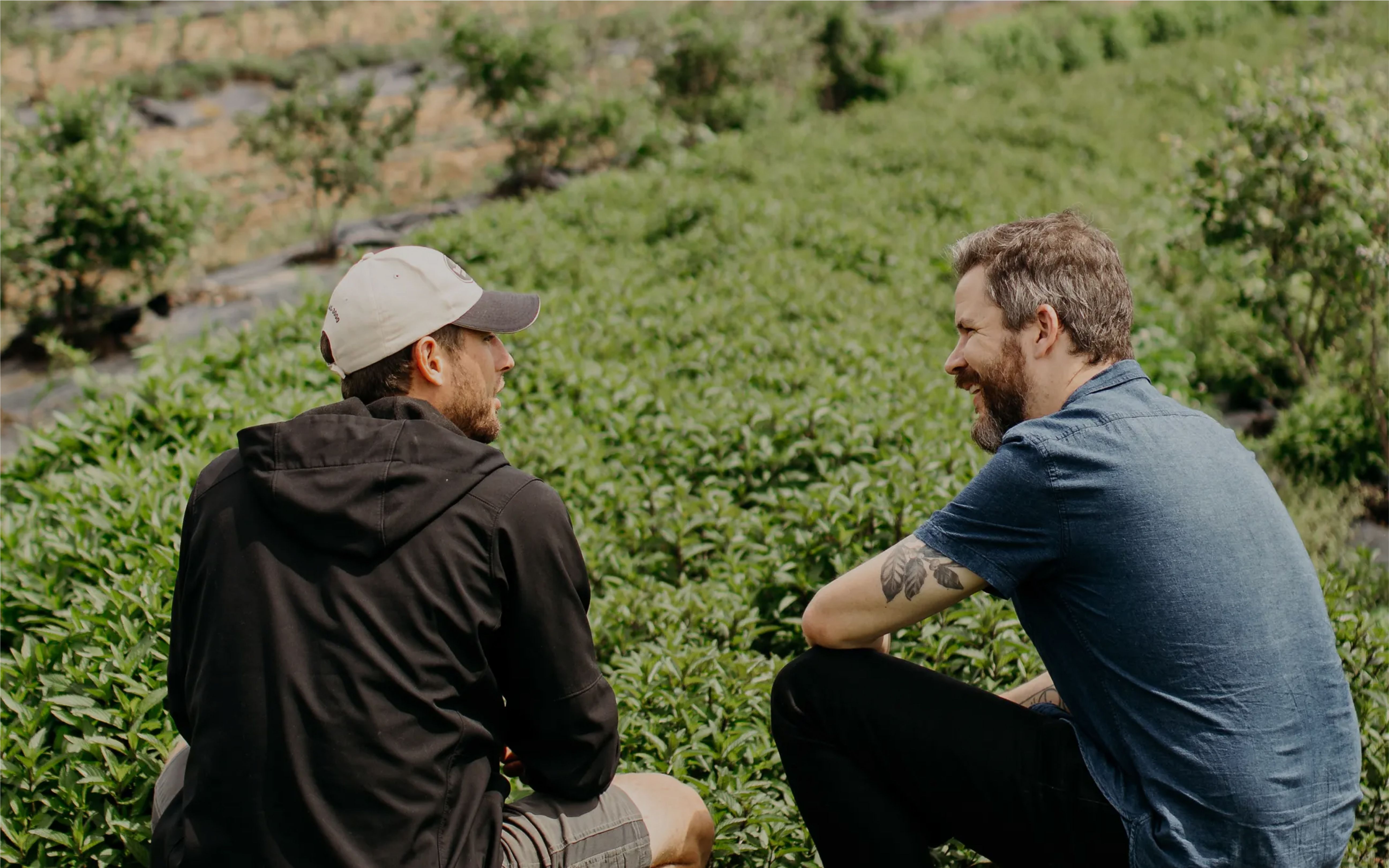 Evan from the Passenger team talks with Peter from Star Bright Farm