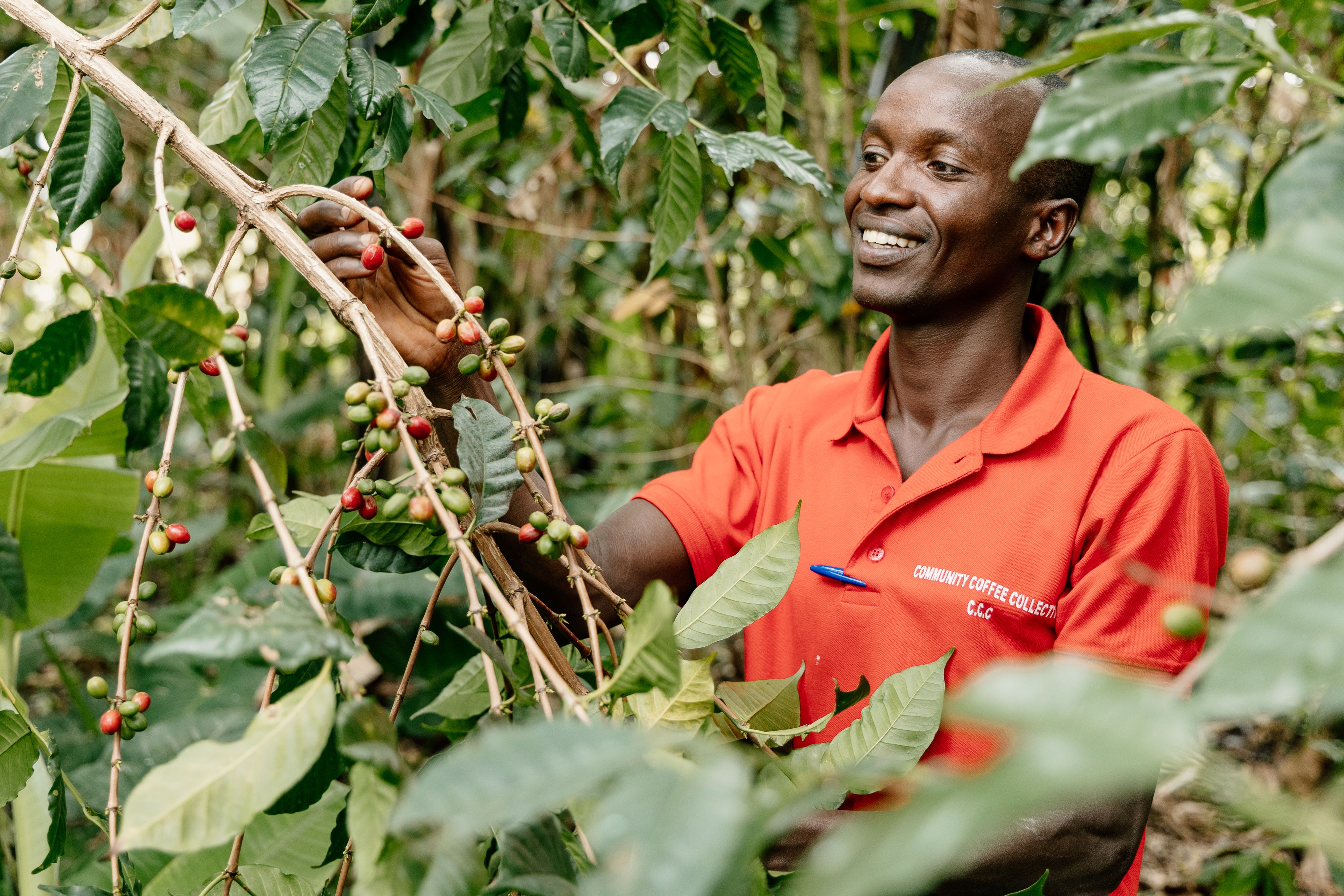 Long Miles Coffee Project team member, Ndayisenga Tite.
