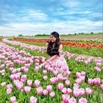 nina_pinky