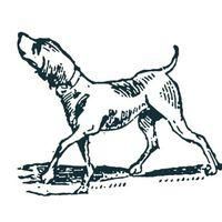Bird Dog Cafe