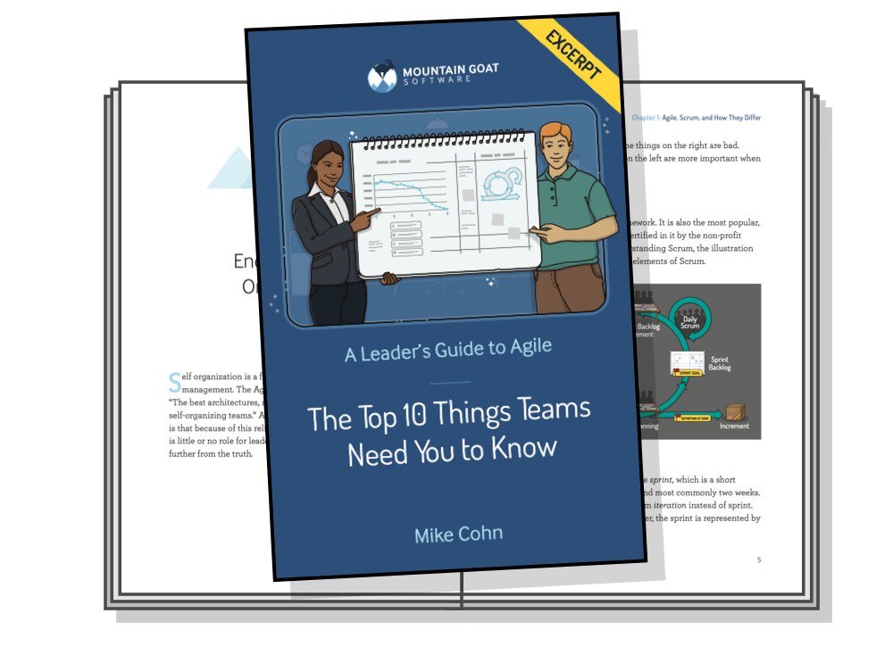 A Leader's Guide to Agile (Excerpt)