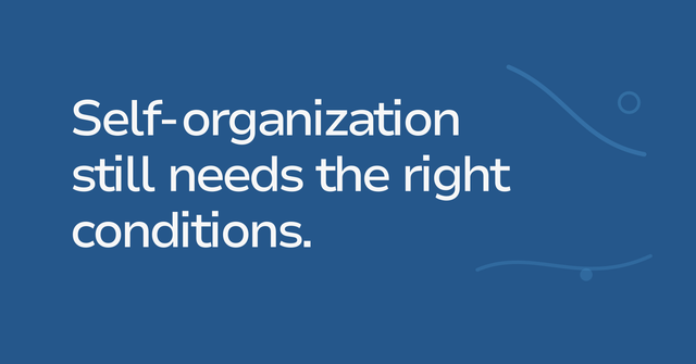 Text graphic: Self-organization still needs the right conditions.