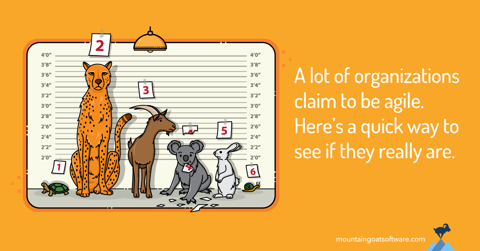 Quote card for Three Questions to Determine If an Organization Is Agile.