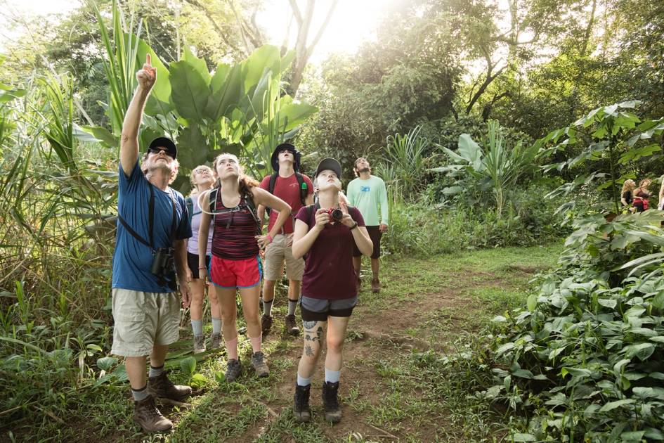 Rollins students and professor visit a Costa Rican rainforest.