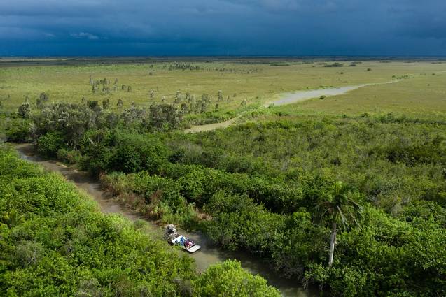 An aerial view of an air boat full of students crossing wetlands in the Everglades.