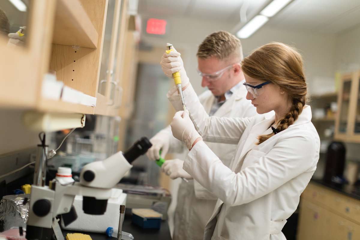 Student-faculty biology research