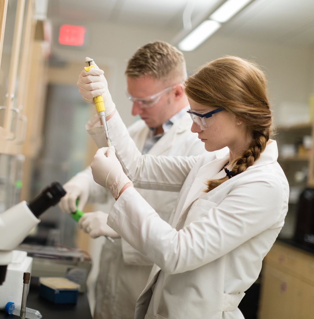 A professor and a student conduct biology research.