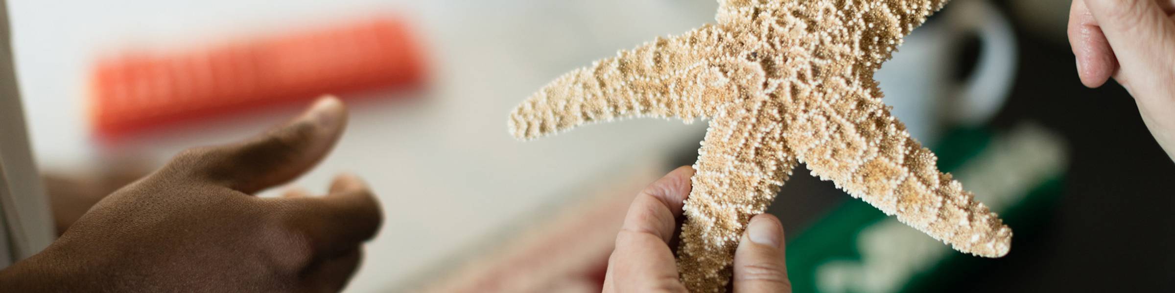 In a Rollins science lab, looking at a starfish