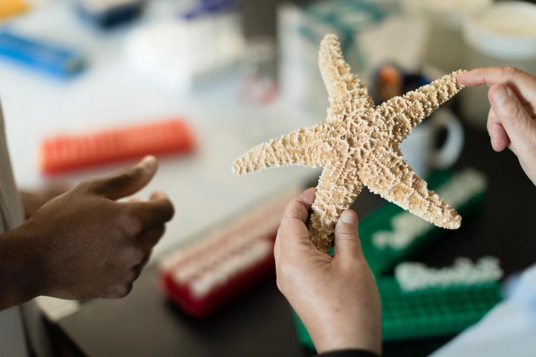 A stafish in a Rollins lab, held by a professor talking to a student.