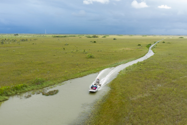 Rollins students speed along on an airboat ride during an Immersion experience in the Everglades.