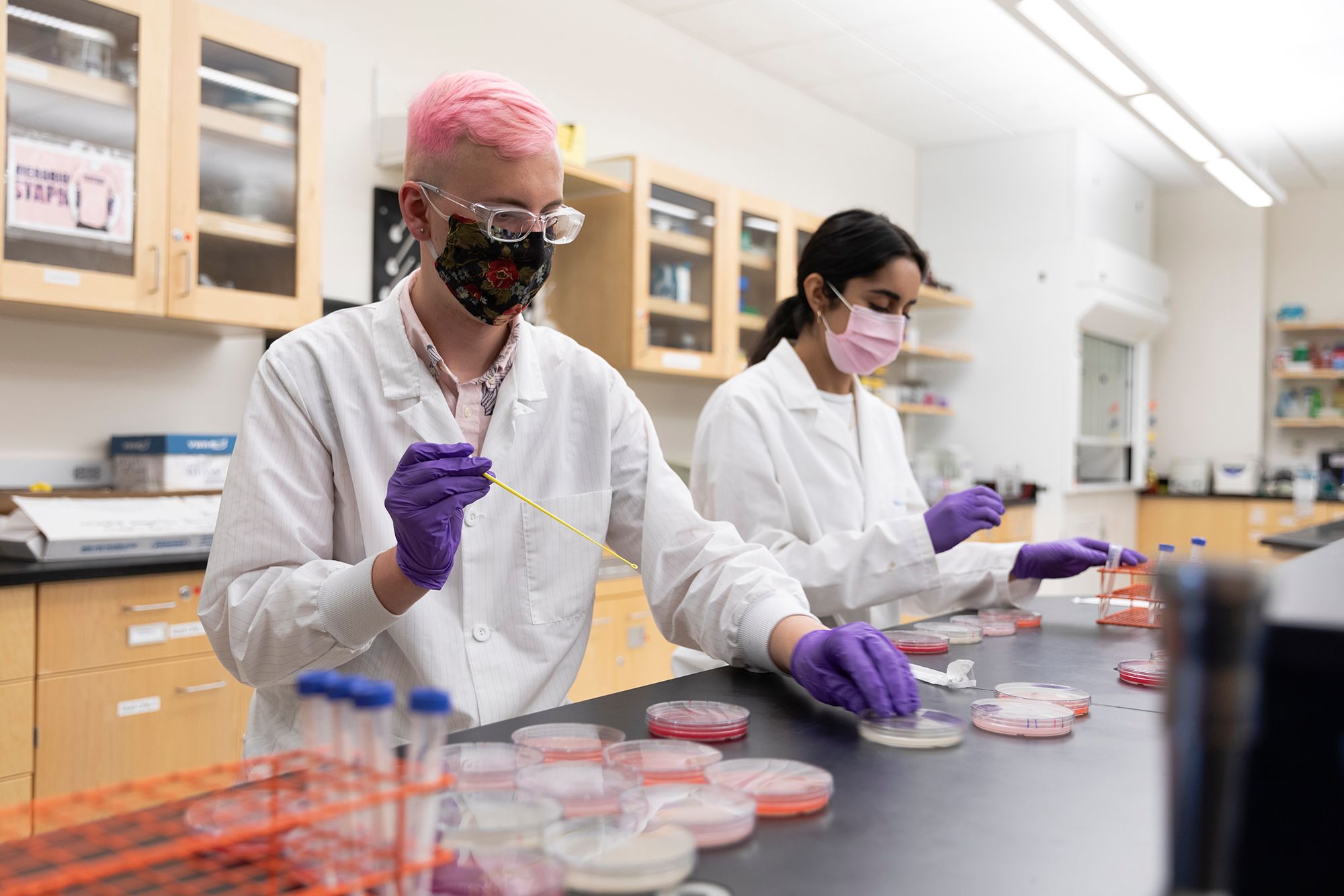 Isaac Gorres ’21 and Sarah Hameer ’22 work together in the biology lab.