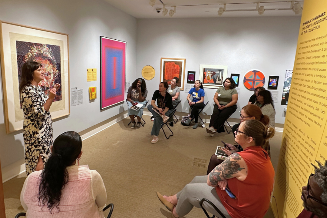 Teachers sit in a gallery watching an instructor