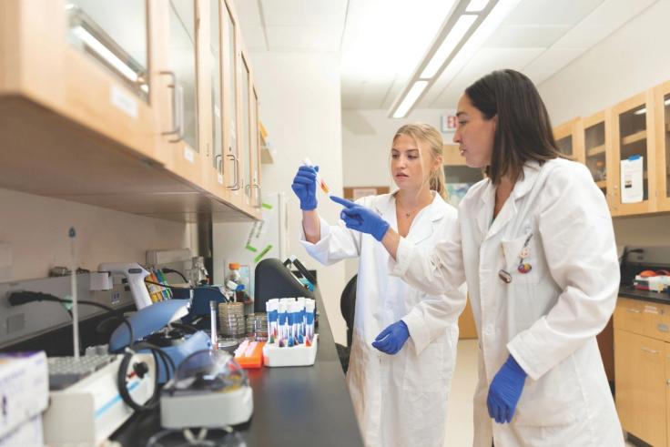 Biology major Bennett Coker ’26 completing collaborative research alongside biology professor Brendaliz Santiago-Narvaez