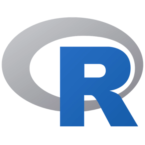 A logo for the programming language R.