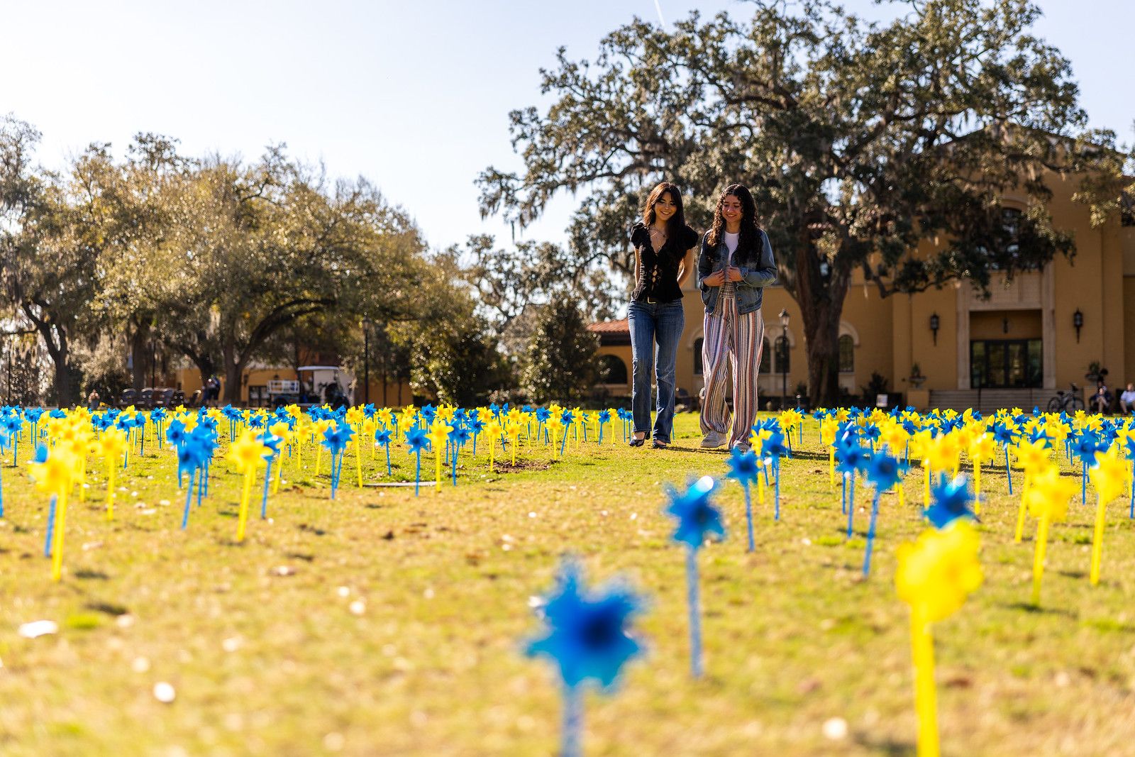 Two female students strolling through a field of blue and yellow pinwheels.