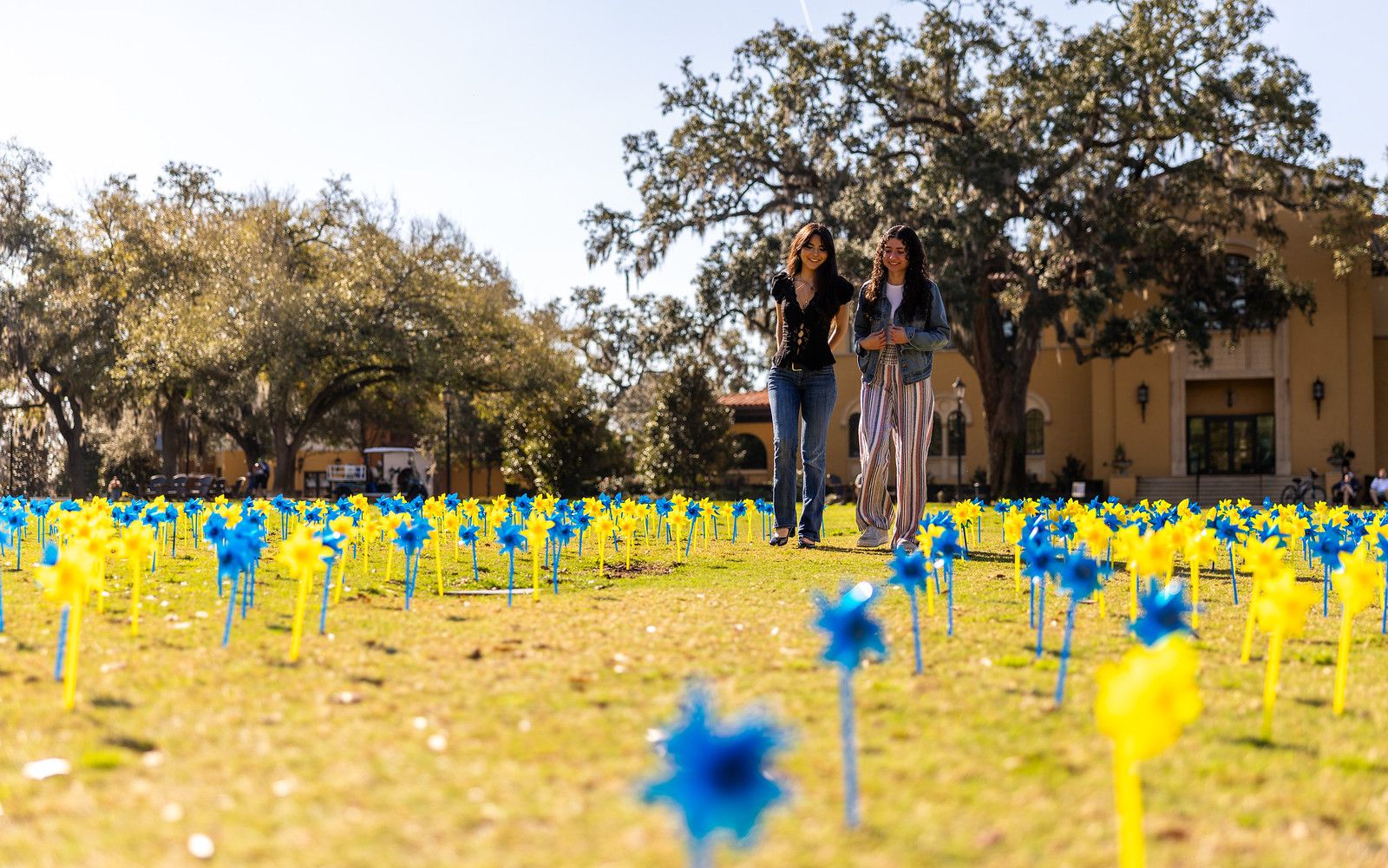 Two female students strolling through a field of blue and yellow pinwheels.