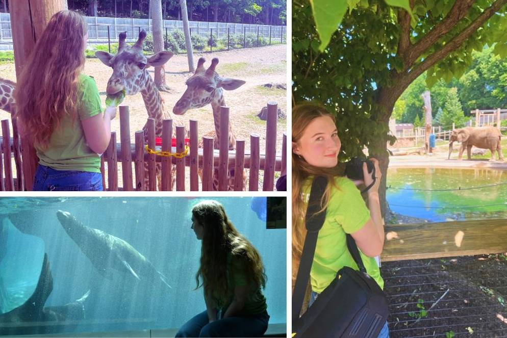 Nora VanDerMeid ’27 interning at Seneca Park Zoo