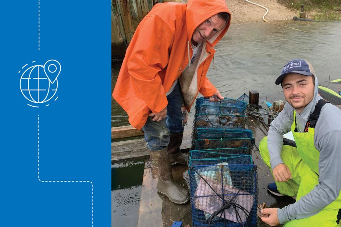 Colin Kelly ’19 ’21MBA growing oysters on an internship with Cornell University to help restore shellfish populations.