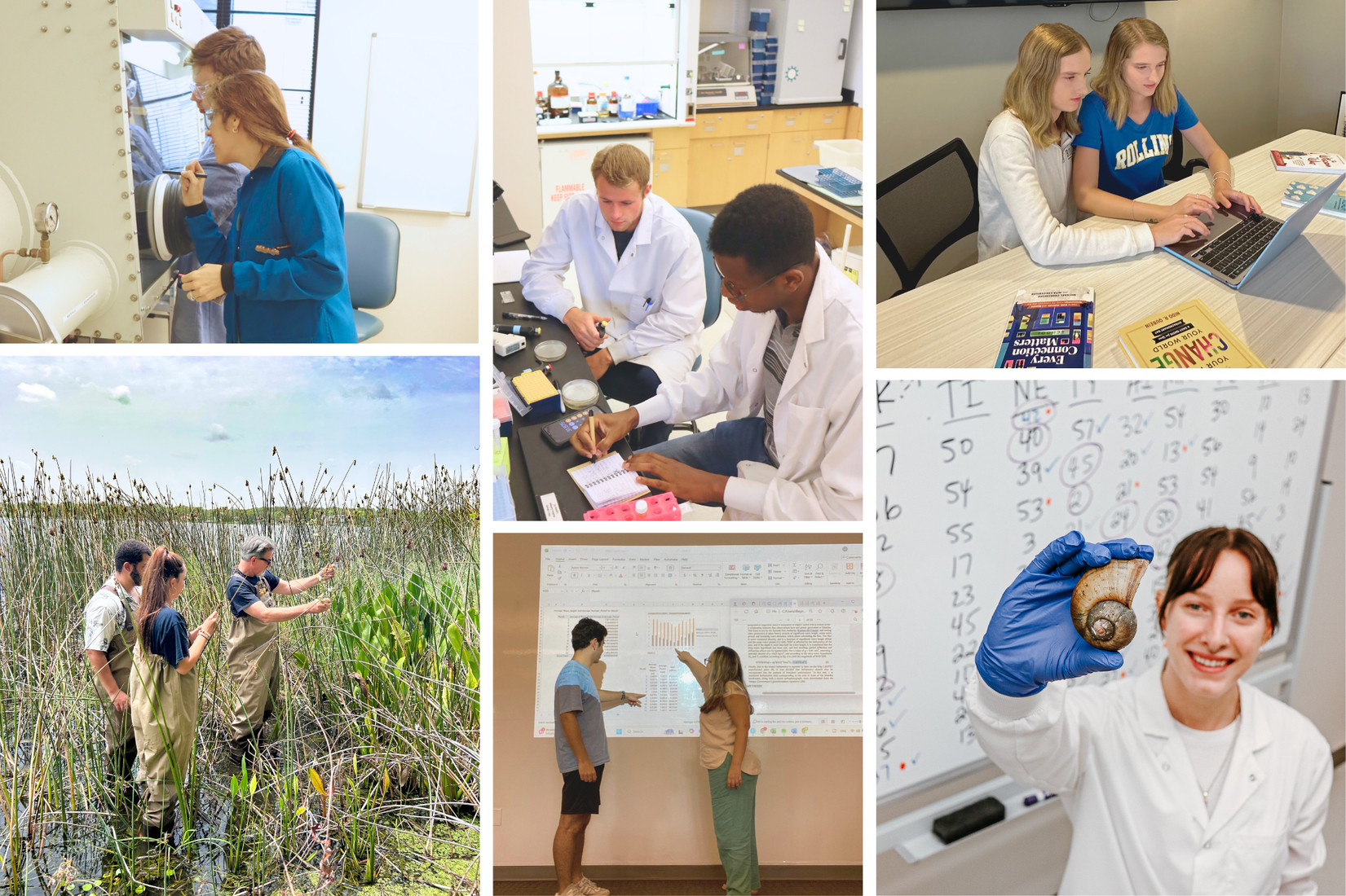 Rollins students participating in summer research