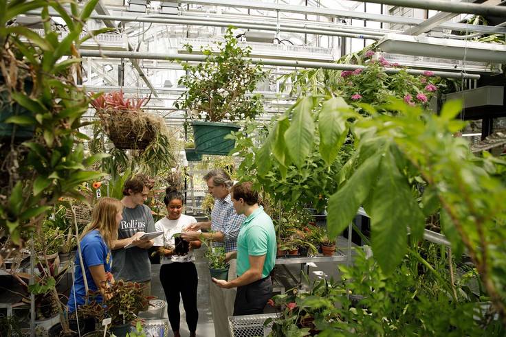 Students study a plant in the Rollins greenhouse