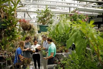 Students conduct a lab in the new Rollins greenhouse. 