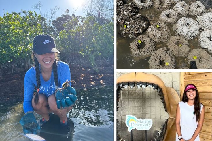 Avery Lozano ’26 interning at the Marine Discovery Center