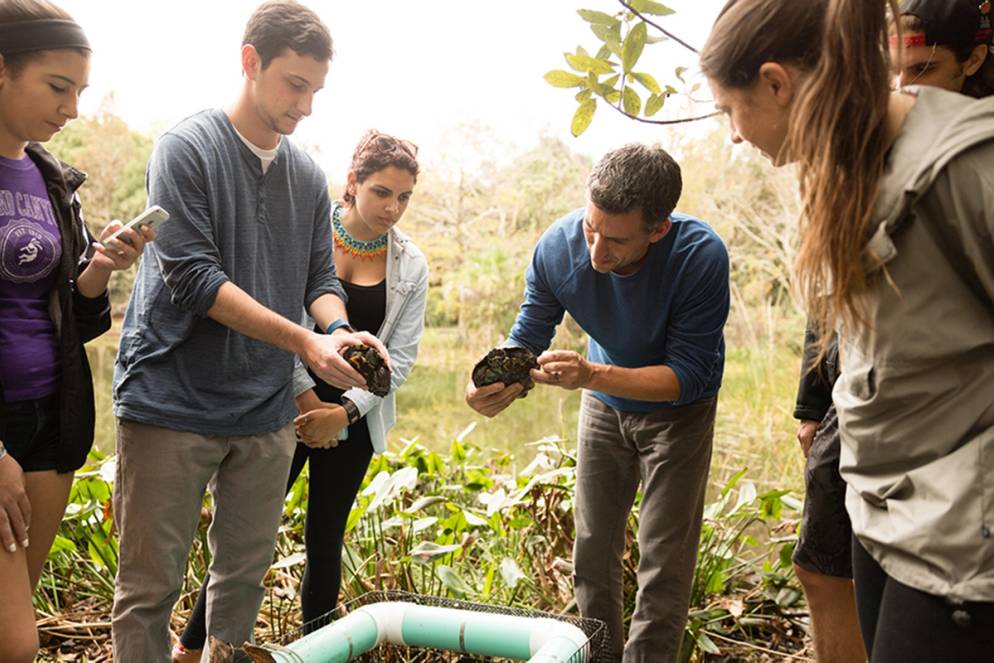 Students in biology professor Bobby Fokidis’ Animal Conservation course explore the pressing issues threatening animal diversity at the Tosohatchee Wildlife Management Area near the St. Johns River in Christmas, Florida. 