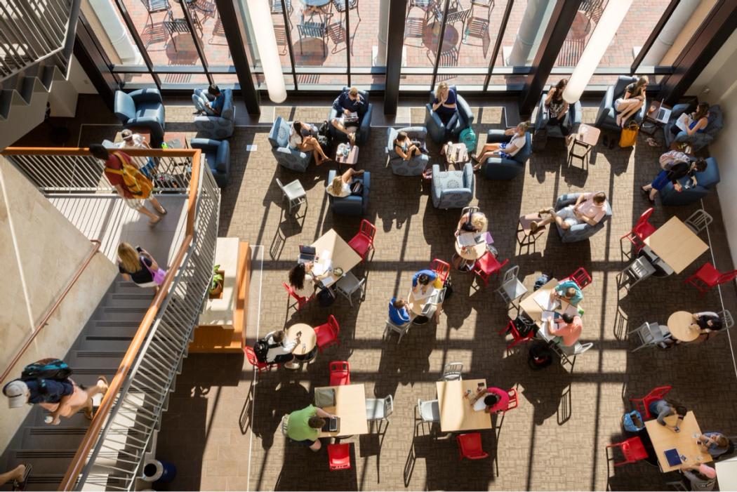 Students studying in the Bush Science Center atrium.