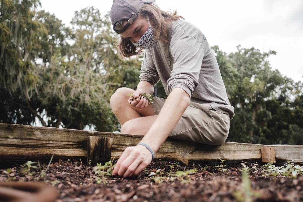 Student planting at the on-campus organic garden.