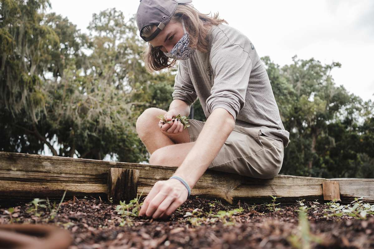 Student planting in the on-campus organic farm during an Immersion experience.