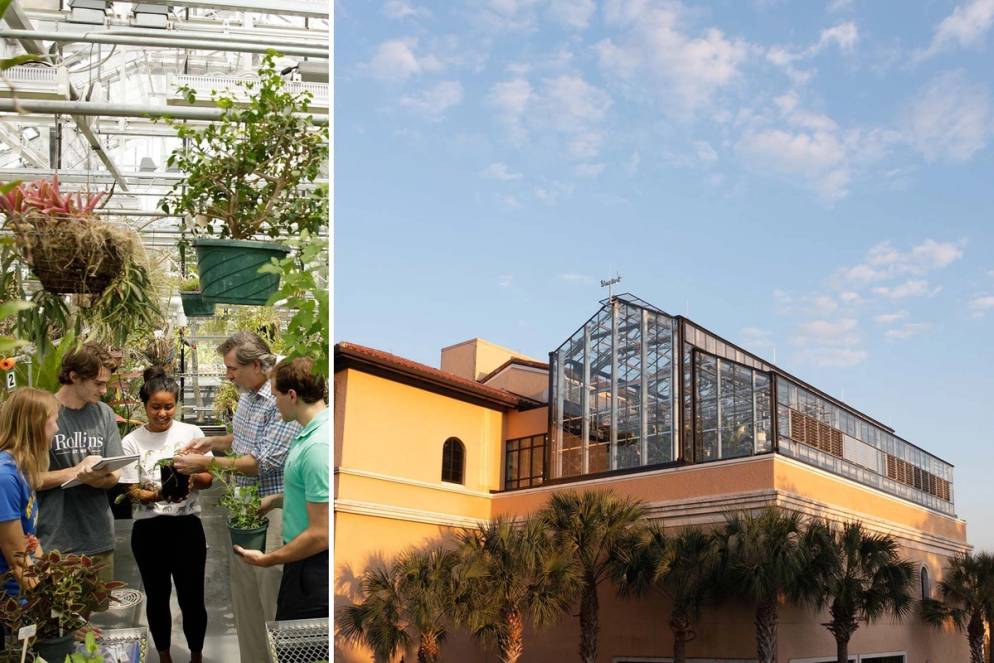 Rollins Greenhouse